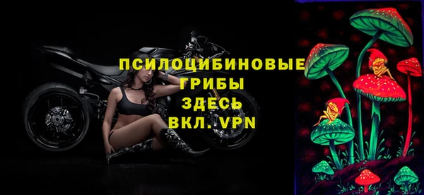 прущие крисы Арсеньев
